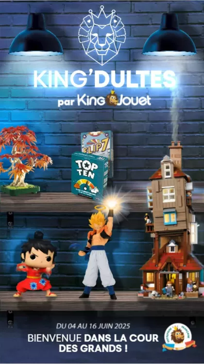 Catalogue King Jouet (valable jusqu'au 16-06)