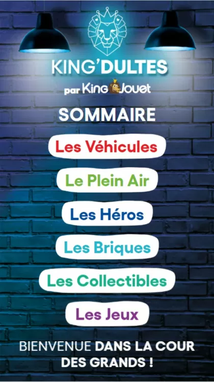 Catalogue King Jouet (valable jusqu'au 16-06)