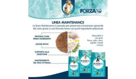 Volantino Homery Pagina 1