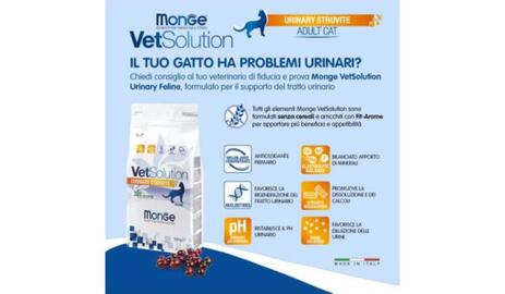 Volantino Homery Pagina 3