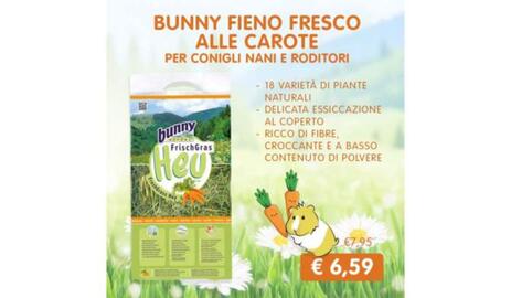 Volantino Homery Pagina 8
