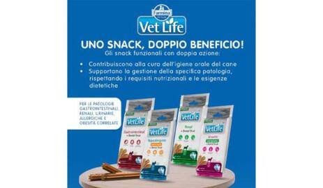 Volantino Homery Pagina 9