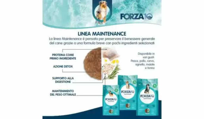 Volantino Homery (valido fino al 30-06)