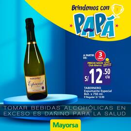 Catálogo Mayorsa semana 24 Página 2