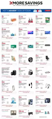 Costco flyer (valid until 19-06)