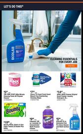 The Home Depot Weekly Ad week 24 Page 3