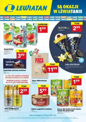 Lewiatan gazetka (ważność do 18-06)