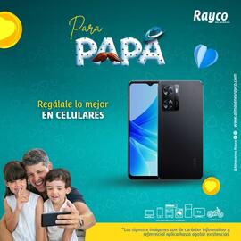 Catálogo Rayco semana 24 Página 2