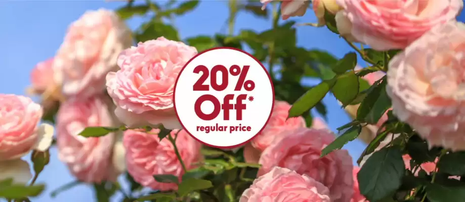 Sheridan Nurseries flyer (valid until 9-07)