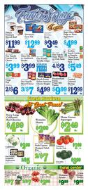 Village Market Food Centers Weekly Ad week 24 Page 2