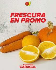 Catálogo Supermercados Caracol Página 1
