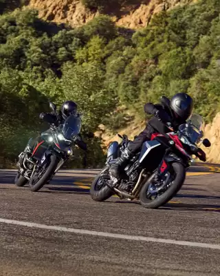 Catálogo Triumph (válido até 30-06)