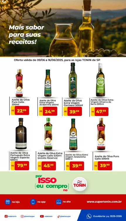 Catálogo Tonin Superatacado (válido até 16-06)