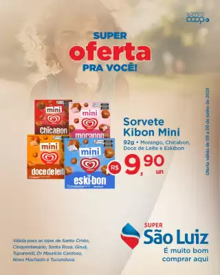 Catálogo Super São Luiz (válido até 30-06)