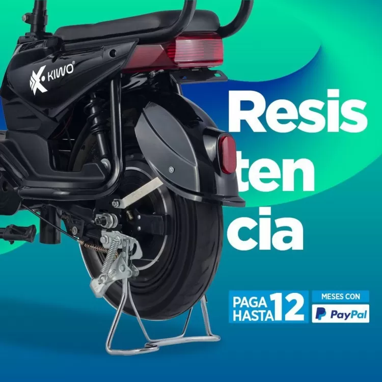 Catálogo Waldos (válido hasta 15-06)