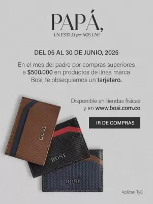 Catálogo Bosi (válido hasta 30-06)