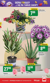 Polomarket gazetka tydzień 24 Strona 61