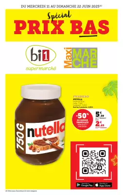 Catalogue Bi1