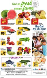 Food Lion Weekly Ad week 24 Page 14