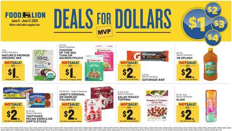 Food Lion Weekly Ad week 24 Page 15