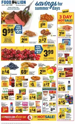Food Lion Weekly Ad (valid until 17-06)