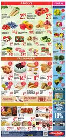 Strack & Van Til Weekly Ad week 24 Page 10