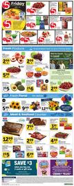Vons Weekly Ad week 24 Page 3