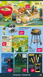 NETTO Prospekt woche 25 Seite 15