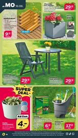 NETTO Prospekt woche 25 Seite 16