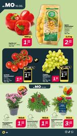 NETTO Prospekt woche 25 Seite 2