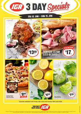 IGA catalogue (valid until 15-06)