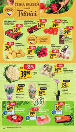 Albert leták | Supermarket Strana 15
