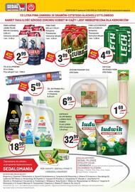 Sedal gazetka tydzień 24 Strona 4