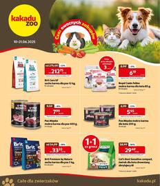 Kakadu gazetka Strona 1