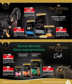 Kakadu gazetka Strona 7