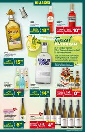 Billa Box Flugblatt woche 24 Seite 13