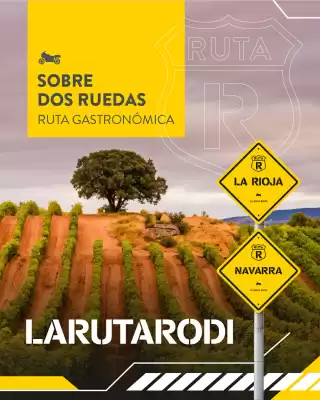 Folleto Rodi (válido hasta el 9-08)