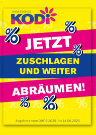 KODi Prospekt woche 24 Seite 1