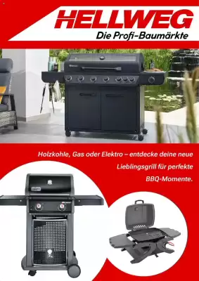 Hellweg Prospekt (gültig bis 29-06)