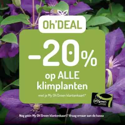 Oh Green folder (geldig t/m 30-06)