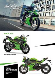 Catalogue Kawasaki page 12