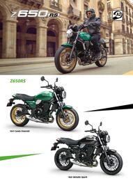 Catalogue Kawasaki page 36