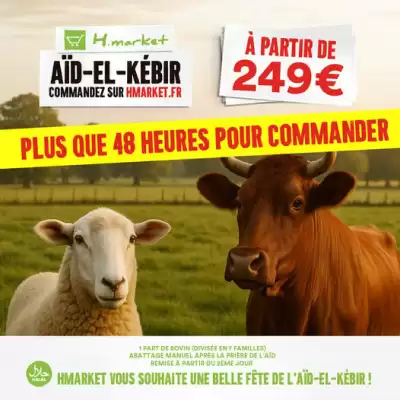 Catalogue Hmarket (valable jusqu'au 16-06)