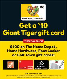 Giant Tiger flyer week 24 Page 14