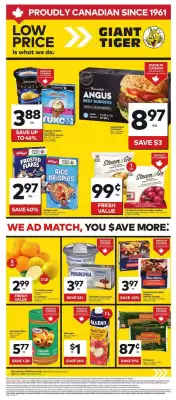 Giant Tiger flyer (valid until 18-06)