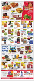 Winn Dixie Weekly Ad week 24 Page 3