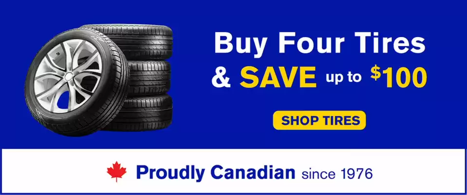 Mr Lube flyer (valid until 10-07)