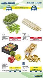 METRO Prospekt woche 24 Seite 8