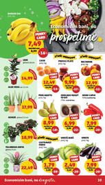 Catalog Penny săptămâna 24 Pagină 10