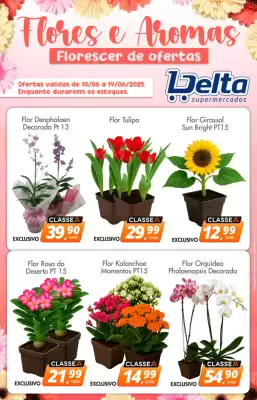 Catálogo Delta Supermercados (válido até 19-06)